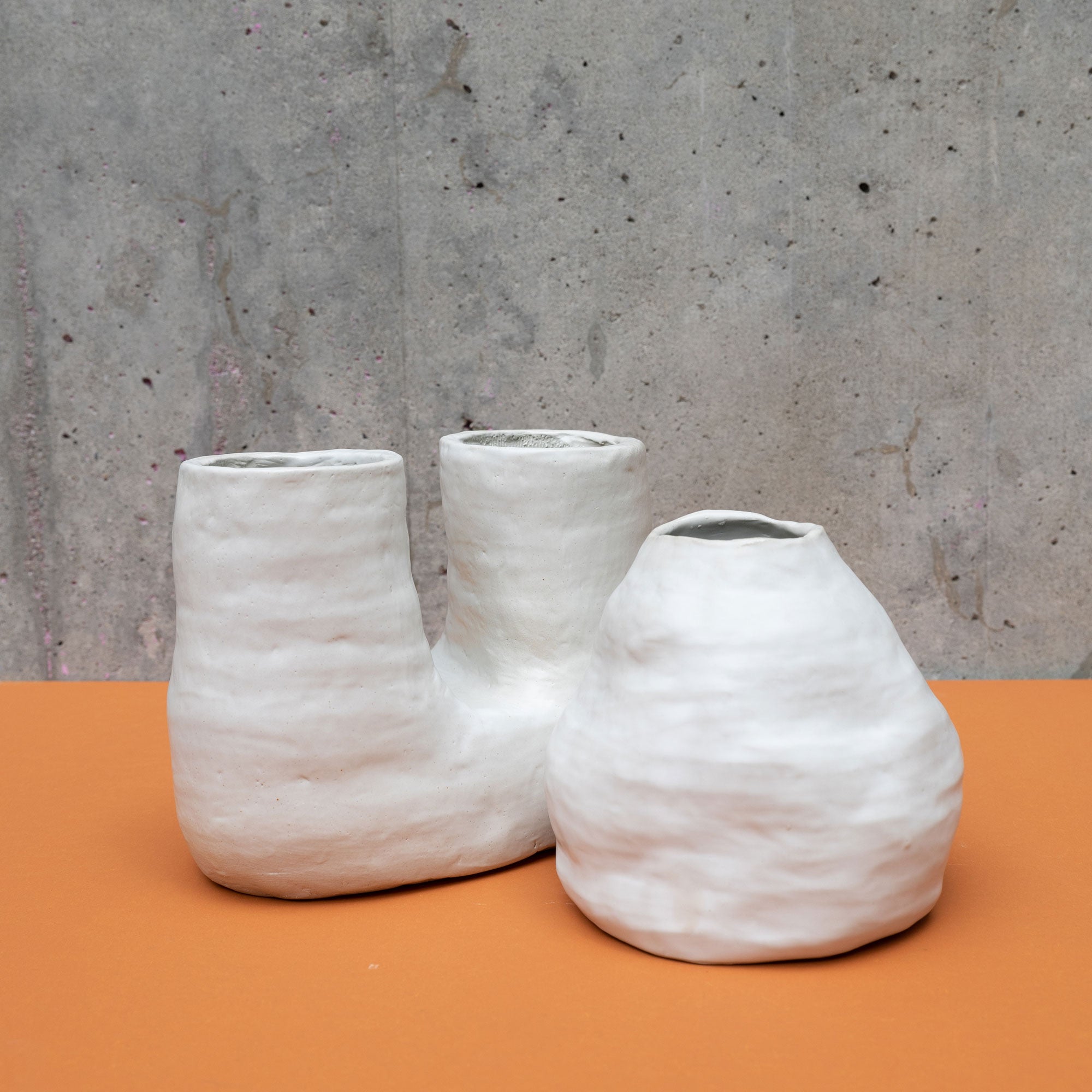 Organic Vase • Hand-building • 1 session • Geneva